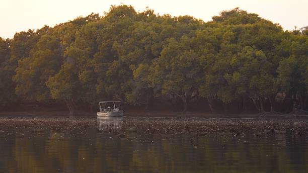 istock Tranquil River Scene with Boat and Dense Tree Line at Sunrise 2233261745