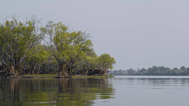 istock Serene Riverside Landscape with Dense Trees and Calm Water Reflection 2233261780
