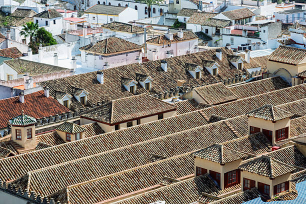 The terracotta tiled cityscape of Seville, Spain, presents a uniform architectural style. The buildings, primarily white with terracotta roofs, create a visually appealing pattern across the urban landscape.