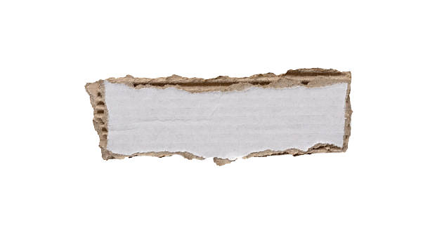 istock piece of white paper tear isolated on white background 2233266055
