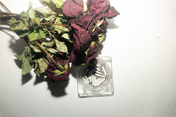 One dozen roses and smoked cigs
