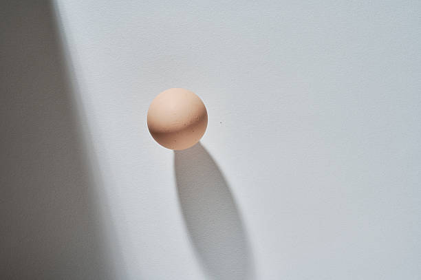 istock An egg suspended in mid-air casting a long shadow on a textured white surface with dramatic lighting 2233273429