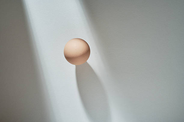 istock A Single Chicken Egg Suspended Mid Air Casting a Soft Shadow on a Textured White Surface with Sunlight Streaking Across It 2233273448