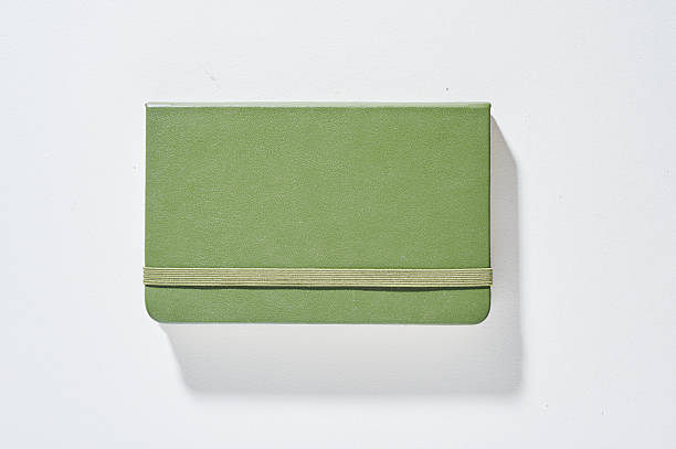 istock Glittering emerald green notebook with gold stripes on white background 2233273763