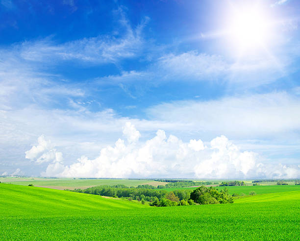 istock green field and blue sky 2233275795
