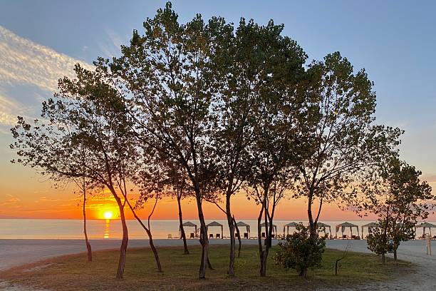 istock Sunrise Over the Aegean Sea Framed by Coastal Trees 2233281208