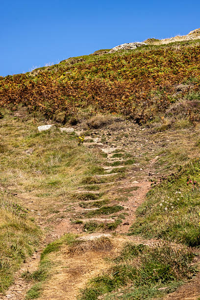 istock Stones steps along the Cornish coastal path, with a blue sky overhead 2233282372
