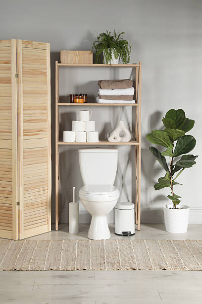 istock Folding screen, toilet bowl and houseplants in restroom 2233285926