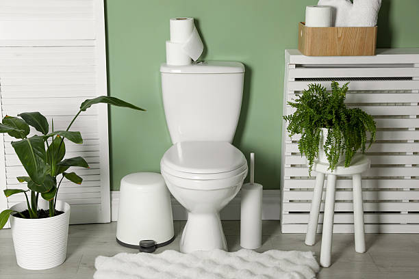 istock Folding screen, toilet bowl and houseplants in restroom 2233285952