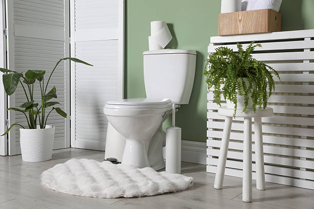 istock Folding screen, toilet bowl and houseplants in restroom 2233286152