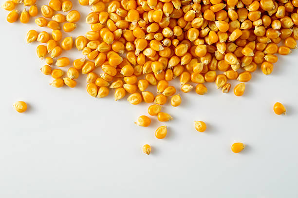 istock Yellow Corn Kernels Spilling on White Surface for Food Photography 2233286839
