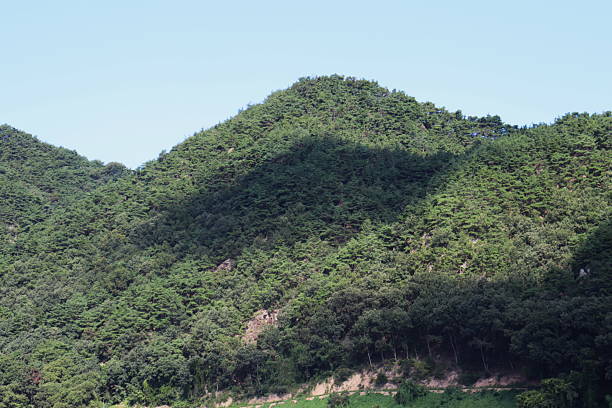 The shadow of a cloud falls on a hill