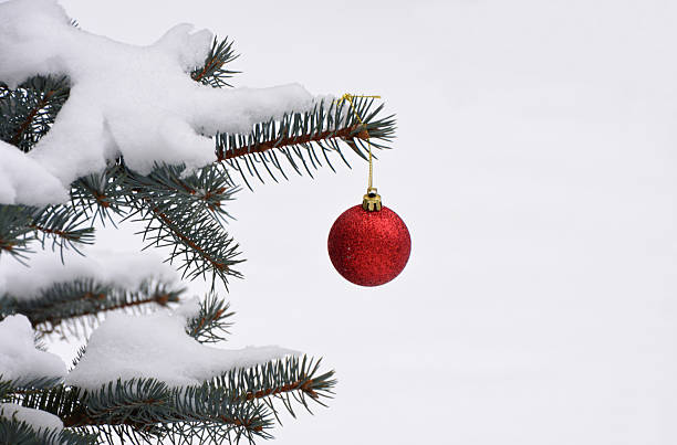 istock Red Christmas Ornament Hanging on a Snow-Covered Pine Branch copy space 2233291808