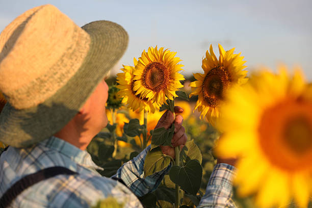 Columbia Bottom CA - Sunflower with Sunglasses