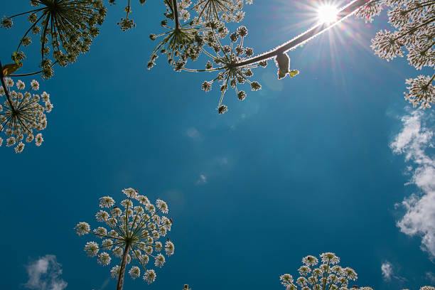 just a photo