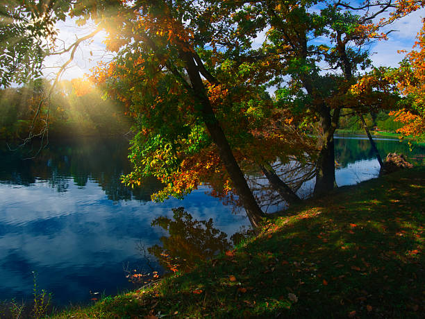 Autumn/fall landscape with colorful foliage and trees, water surface during autumn day with, branches, tree trunks. Mystique  relaxing  nature. Czech republic, Eastern Europe.