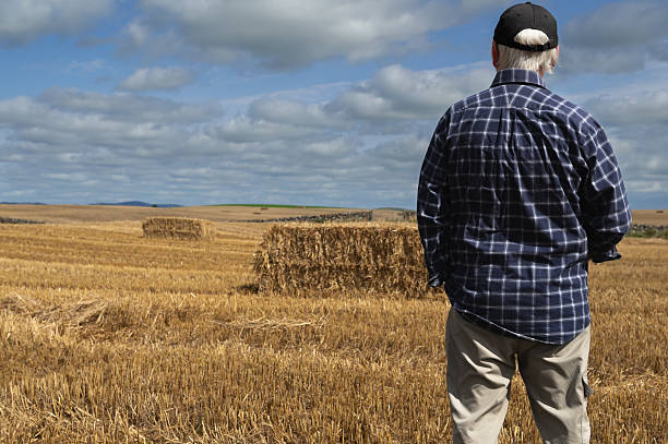 istock Senior man looking at straw bales in a field 2233305663