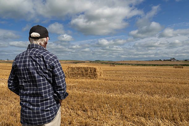istock Senior man looking at straw bales in a field 2233305701