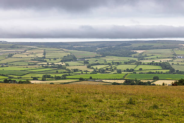 istock Rolling Dorset Countryside and Patchwork Fields, Isle of Purbeck, England 2233305856
