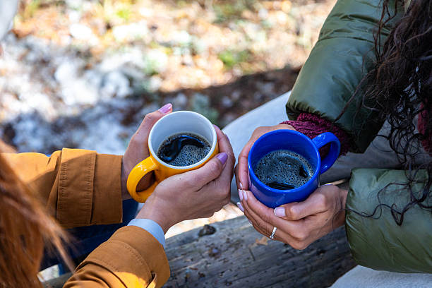 Two women are holding colorful coffee mugs while sitting on a log in an autumn forest, enjoying a warm beverage