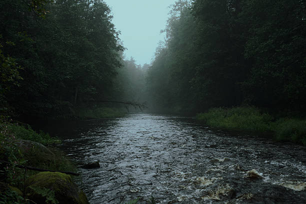 istock Lindulovskaya grove 2233306369