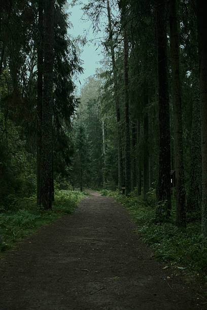istock Lindulovskaya grove 2233306536