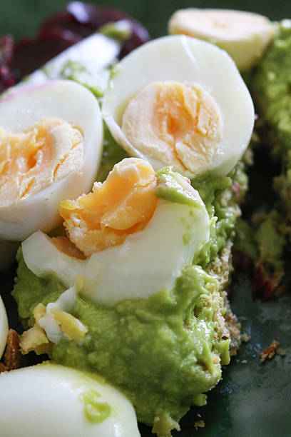 Image of avocado guacamole, boiled egg, grilled chicken, lettuce leaves, salad dressing, mayonnaise / healthy eating protein meal