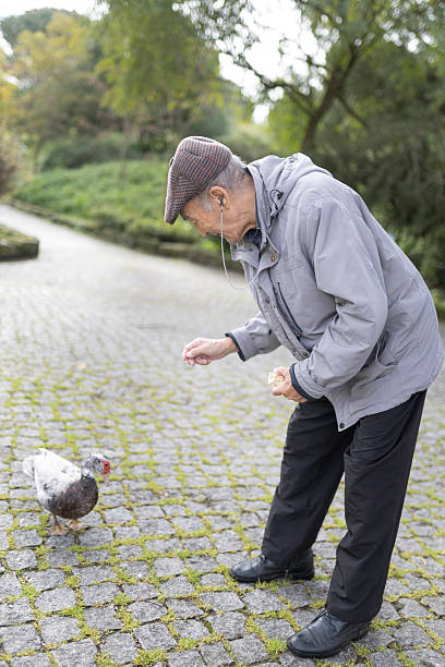 istock Elderly man feeding a duck in a park 2233313597