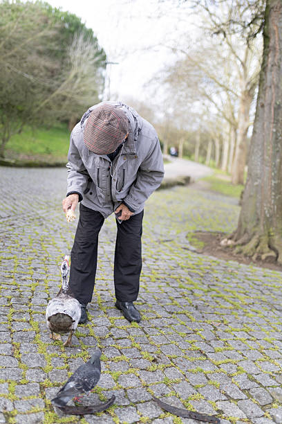 istock Elderly man feeding birds in a cobblestone park 2233313839