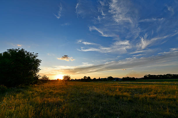 Beautiful rural landscapes, on a sunflower field in the evening at sunset. Eastern Ukraine, the village of Korolevka.