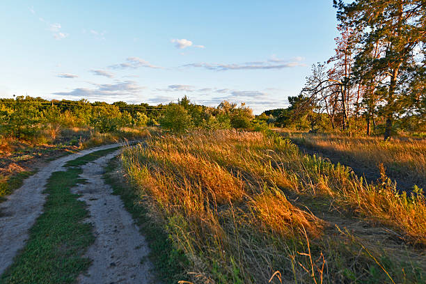 Beautiful forest landscapes at sunset, eastern Ukraine, Novomoskovsk.