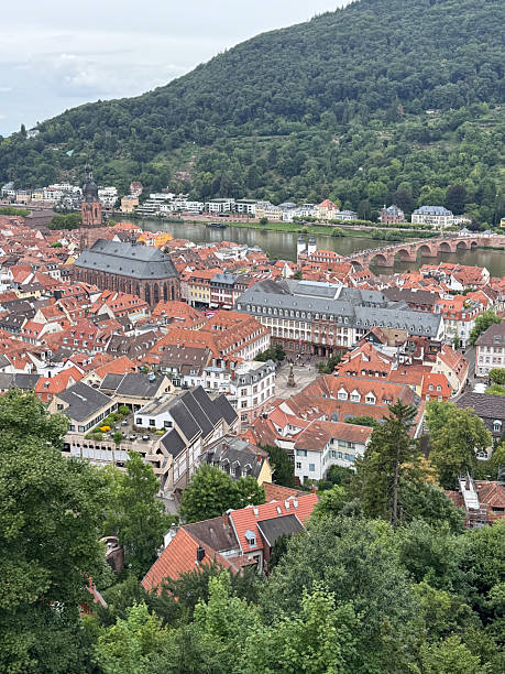 istock Cityscape over the Neckar 2233314480