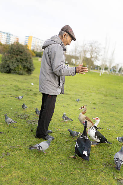 istock Elderly man feeding birds in a public park 2233316272
