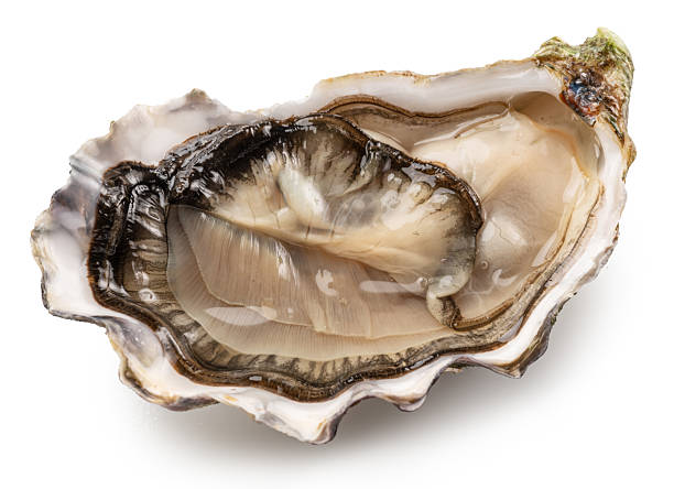 istock Opened raw oyster isolated on white background, clipping path. Delicacy food. 2233320154
