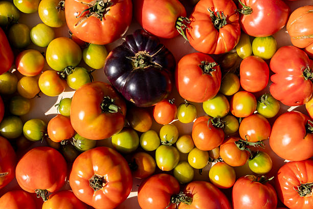 istock A bunch of tomatoes and green tomatoes are on a table 2233320216