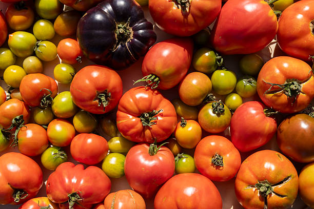 istock A bunch of tomatoes and green tomatoes are displayed 2233320357