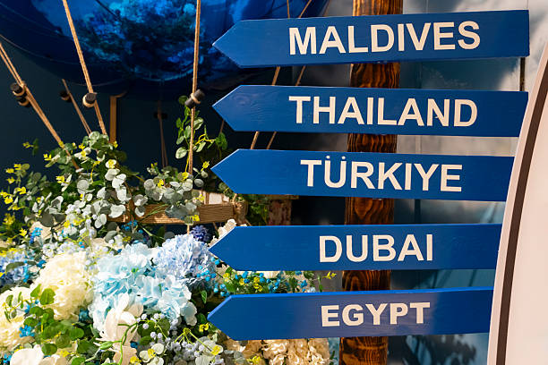 Travel-Themed Decorative Setup with Surfboards and Signpost
