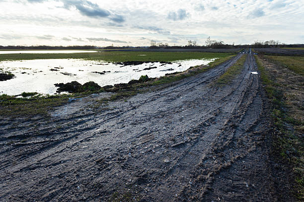 a car stuck on a muddy road, a daylight shot, no people
