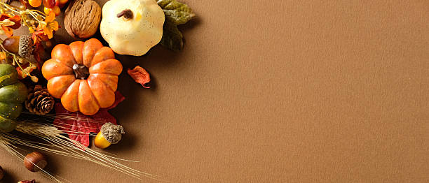 istock Rustic autumn banner design with pumpkin, gourd, nuts, leaves, and wheat on brown textured background. Left-side layout ideal for seasonal ads, banners, and Thanksgiving designs. 2233323148