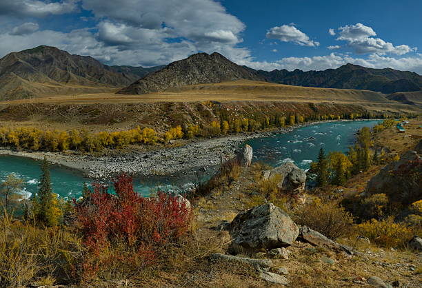 istock Autumn Altai in all its glory 2233329216