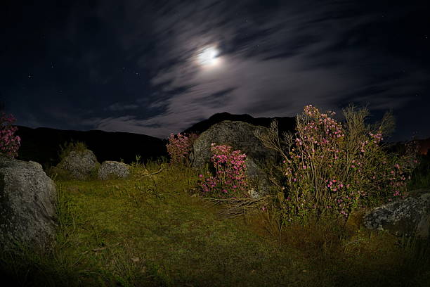 Full moon in the sky