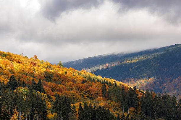 istock Autumn forest in mountain range with clouds on the sky 2233337147
