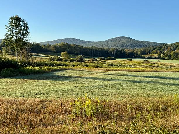 Scenic grassy meadow view. Bench at Windham Path in Catskill Mountains. Open field, creek, stream, Batavia Kill. Walk, hike, fish, bike, meditate or run. early morning at dawn. Quiet sunrise. Blue sky