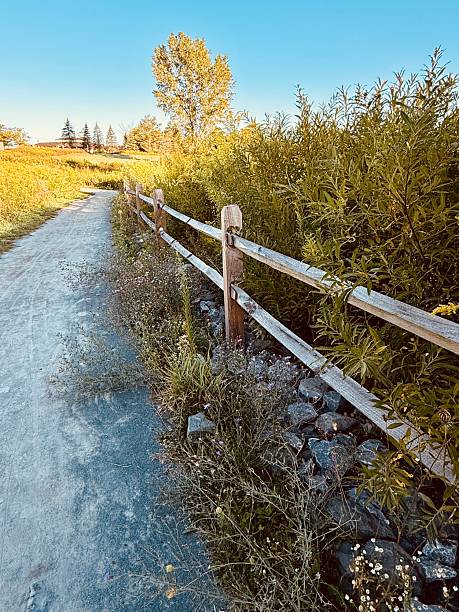 Scenic grassy meadow view. Bench at Windham Path in Catskill Mountains. Open field, creek, stream, Batavia Kill. Walk, hike, fish, bike, meditate or run. early morning at dawn. Quiet sunrise. Blue sky