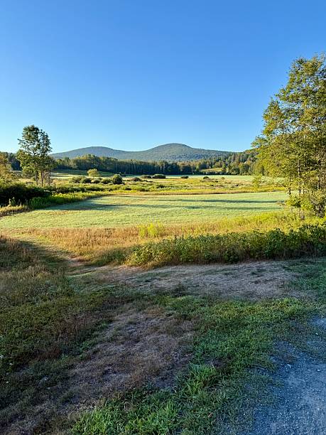 Scenic grassy meadow view. Bench at Windham Path in Catskill Mountains. Open field, creek, stream, Batavia Kill. Walk, hike, fish, bike, meditate or run. early morning at dawn. Quiet sunrise. Blue sky