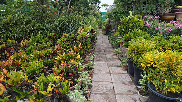 A garden path lined with vibrant potted plants, featuring a mix of greens, yellows, and reds, creating a colorful and lush landscape.