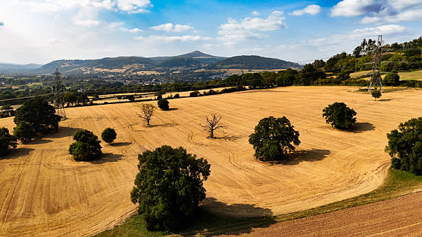 Aerial photograph of a rural landscape near Newport, Wales, captured using DJI Mini 4 Pro. The image features expansive golden‑brown harvested fields with visible soil patterns, scattered trees — including one prominent leafless tree — and rolling hills in the background. Power lines and pylons cross the scene, adding a human element to the natural setting. The partly cloudy sky casts soft shadows across the terrain, highlighting textures and contours. Suitable for stock photography, environmental storytelling, or landscape portfolios.