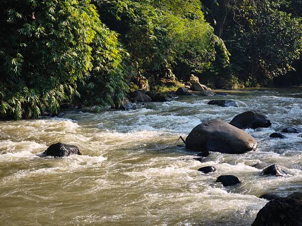 istock A natural mountain river scene with clear, flowing water 2233356211