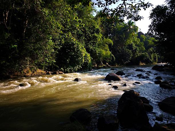 istock Citarik River flow in Indonesia 2233356273