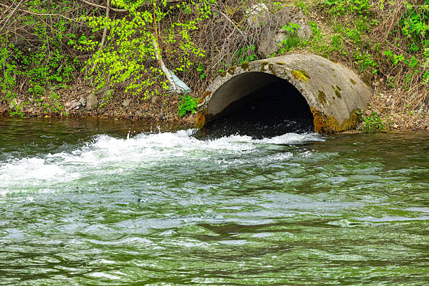 istock Water flows from a drainage pipe into a natural river surrounded by greenery and vegetation on a sunny day 2233356507